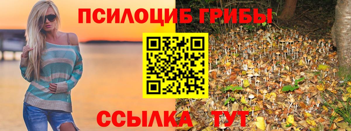 Псилоцибиновые грибы мицелий  Вход с VPN  Благовещенск 